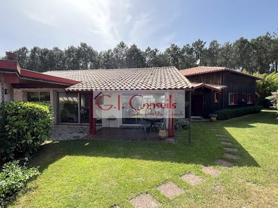 /international/fr/lanton-aquitaine-310107738727/