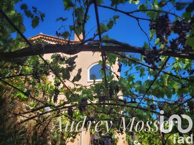 /international/fr/le-revest-les-eaux-provence-alpes-cote-d-azur-310101337359/