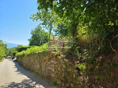 /international/fr/santo-pietro-di-venaco-corsica-310100603258/