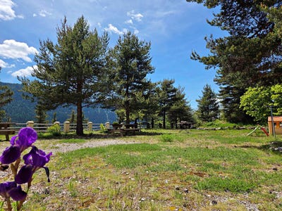 /international/fr/valdeblore-provence-alpes-cote-d-azur-310108286425/