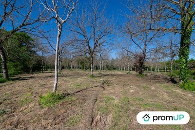 /international/fr/reans-midi-pyrenees-310103175130/