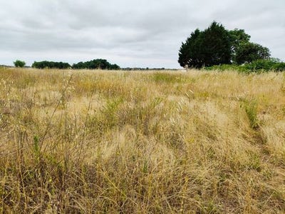 /international/fr/st-hilaire-du-bois-charente-310100650876/