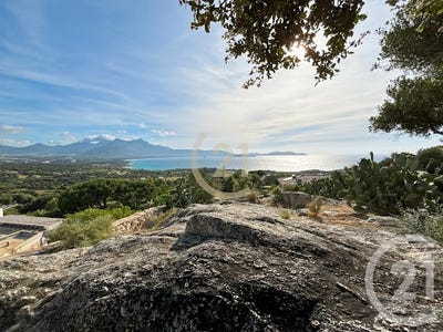 /international/fr/lumio-corsica-310100663024/