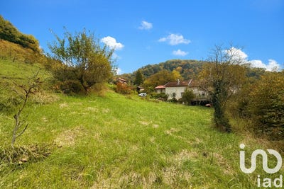 /international/fr/boyeux-saint-jerome-rhone-310103136254/