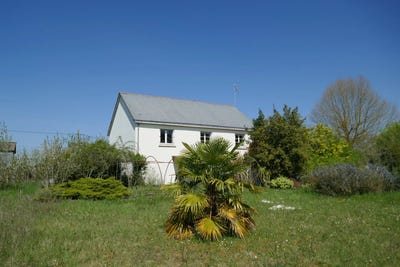 /international/fr/angers-pays-de-la-loire-310098974400/