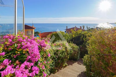 /international/fr/cap-d-ail-provence-alpes-cote-d-azur-310108248876/