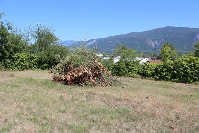/international/fr/saint-marcellin-provence-alpes-cote-d-azur-120078365511/