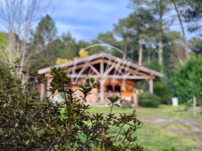 /international/fr/lanton-aquitaine-310100857656/?lang=fr