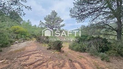 /international/fr/cruzy-languedoc-roussillon-310106195880/