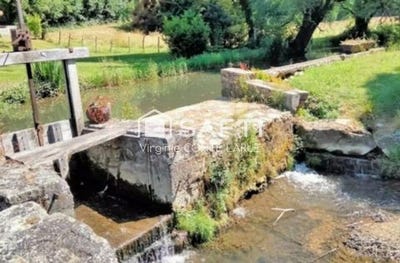 /international/fr/saint-claud-charente-310099685066/