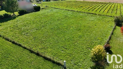 /international/fr/bassac-charente-310102888153/