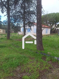 /international/fr/balaruc-les-bains-languedoc-roussillon-310105775327/