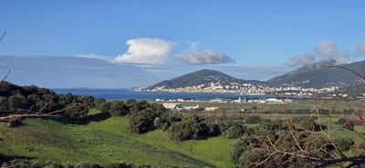 /international/fr/bastelicaccia-corsica-310108455124/