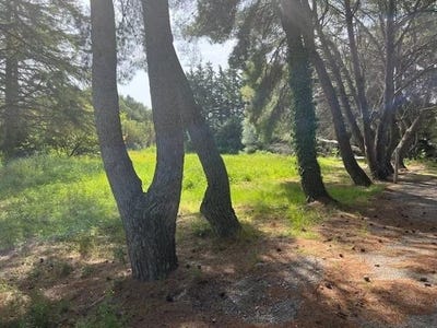 /international/fr/narbonne-languedoc-roussillon-310104337390/