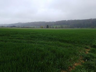 /international/fr/saint-mard-de-reno-la-basse-normandie-310107298576/