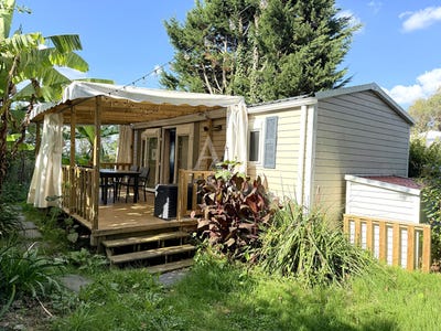 /international/fr/saint-cyr-en-talmondais-pays-de-la-loire-310104467435/