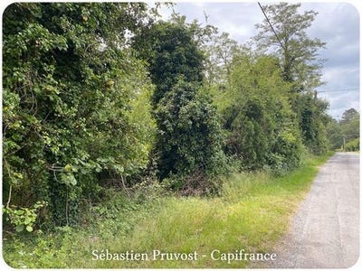 /international/fr/st-romain-et-st-clement-aquitaine-310099949314/