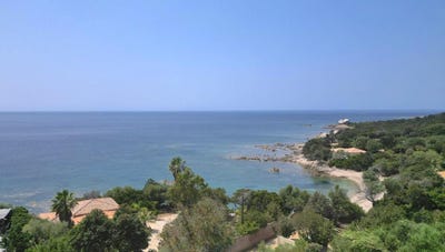 /international/fr/coti-chiavari-corsica-310102115396/
