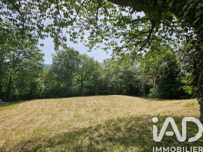 /international/fr/montfort-le-gesnois-pays-de-la-loire-310108727164/