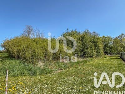 /international/fr/beautheil-saints-ile-de-france-310106418628/