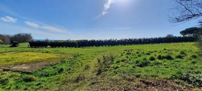/international/fr/chabrignac-limousin-310108313413/
