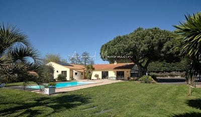 /international/fr/challans-pays-de-la-loire-310106548201/