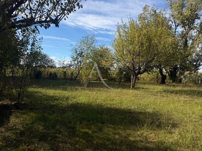 /international/fr/saint-etienne-de-tulmont-midi-pyrenees-310104472036/