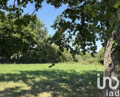 /international/fr/villeneuve-de-riviere-midi-pyrenees-310108948348/
