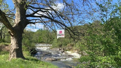 /international/fr/sauve-rhone-310101511073/