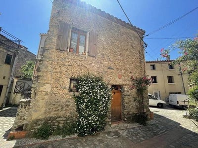 /international/fr/saint-jean-pla-de-corts-languedoc-roussillon-310108487201/