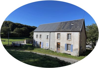 /international/fr/virlet-auvergne-310098731051/