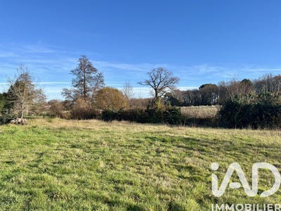 /international/fr/la-brede-limousin-310104113179/