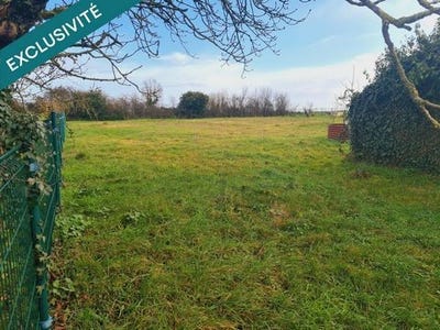 /international/fr/saint-etienne-de-brillouet-pays-de-la-loire-310105821394/