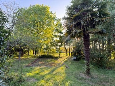 /international/fr/le-lion-d-angers-pays-de-la-loire-310108675725/