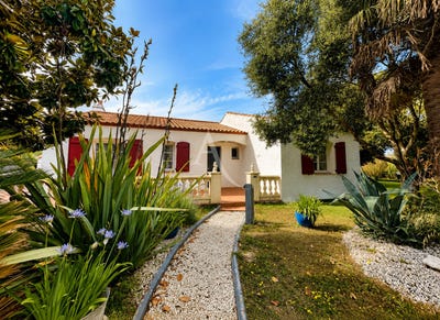 /international/fr/le-fenouiller-pays-de-la-loire-310108941058/