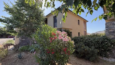 /international/fr/castellare-di-casinca-corsica-310108791169/