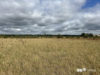 /international/fr/longages-midi-pyrenees-310107046401/