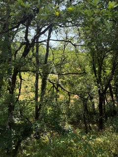 /international/fr/labastide-du-vert-midi-pyrenees-310108261848/
