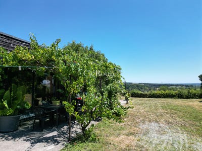 /international/fr/duras-aquitaine-310101252231/