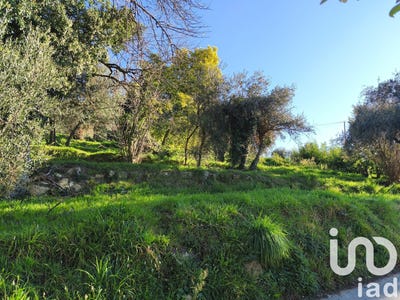 /international/fr/coaraze-provence-alpes-cote-d-azur-310097320189/