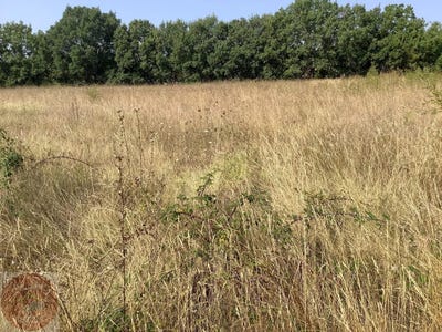 /international/fr/aigremont-ardennes-310108314344/