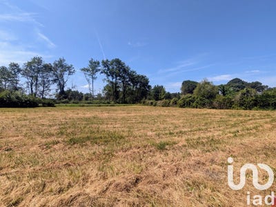 /international/fr/budos-aquitaine-310099944796/