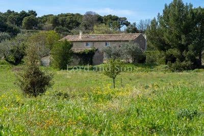 /international/fr/nyons-rhone-120091783915/