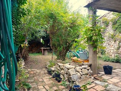 /international/fr/saint-hippolyte-du-fort-languedoc-roussillon-310106606641/