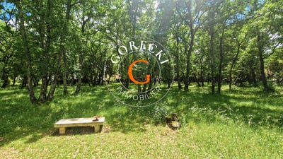 /international/fr/saint-siffret-languedoc-roussillon-310099811079/