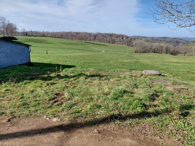 /international/fr/anglards-de-salers-auvergne-310107557509/?lang=th