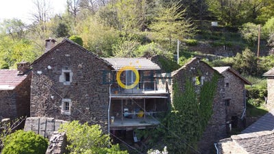 /international/fr/bonnevaux-rhone-310108971935/
