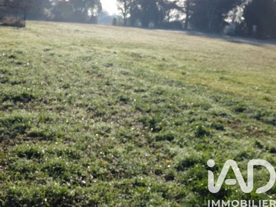/international/fr/asques-midi-pyrenees-310105057997/