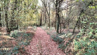 /international/fr/vouille-pays-de-la-loire-310103162270/