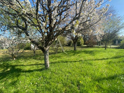 /international/fr/neuville-aux-bois-centre-val-de-loire-310104463774/